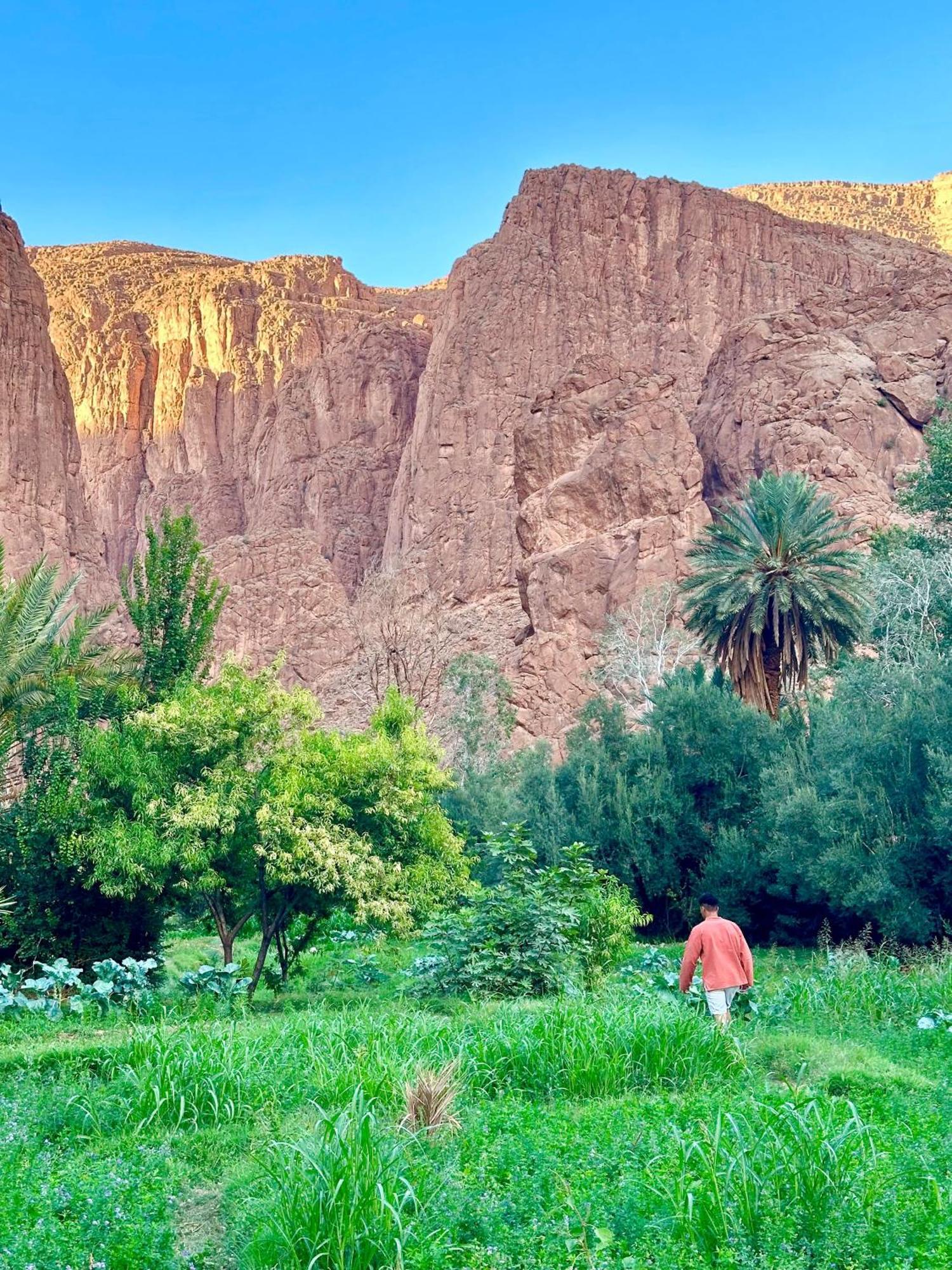 Dar Relax Hostel, Gorges De Todra 廷吉尔 外观 照片